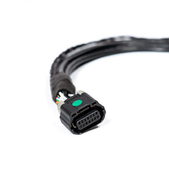 M Harness - FT700