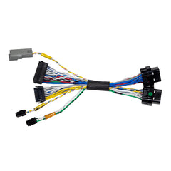 Chicote Adaptador de FT500 para FT550