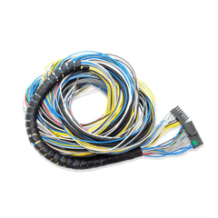 FT500 Harness