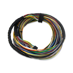 Chicote Principal - Extensión (FT200, FT250, FT300, FT350 y FT400) - 4M