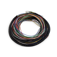 Chicote RacePRO-1Fi